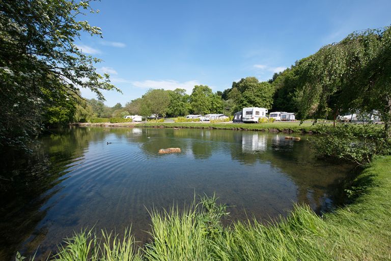 Holiday Park and Campsite in Nottinghamshire - Sherwood Forest Holiday Park