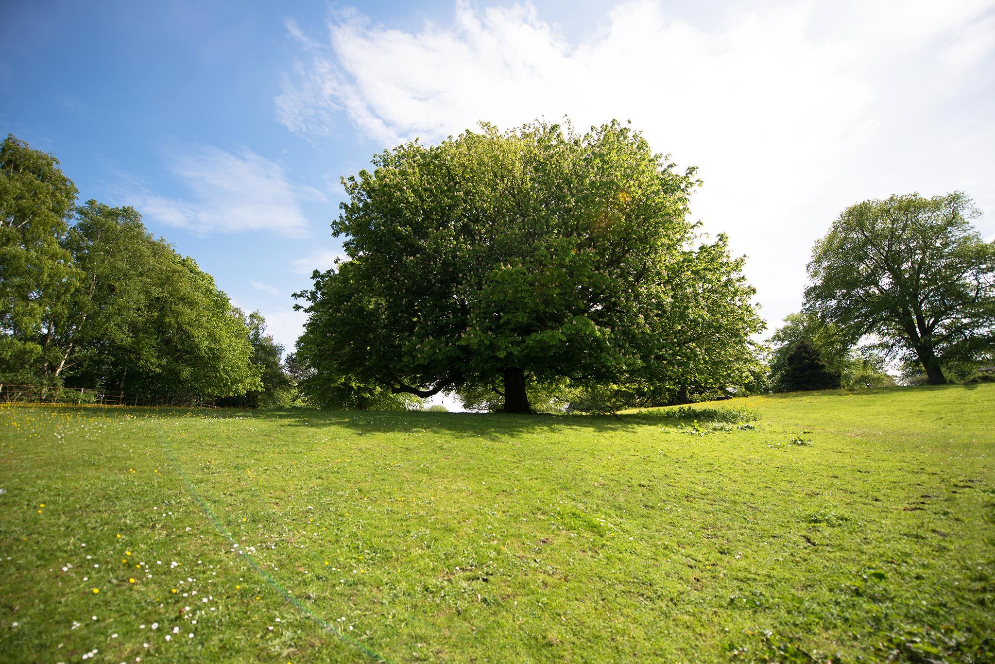 Sherwood Forest Holiday Park Photo