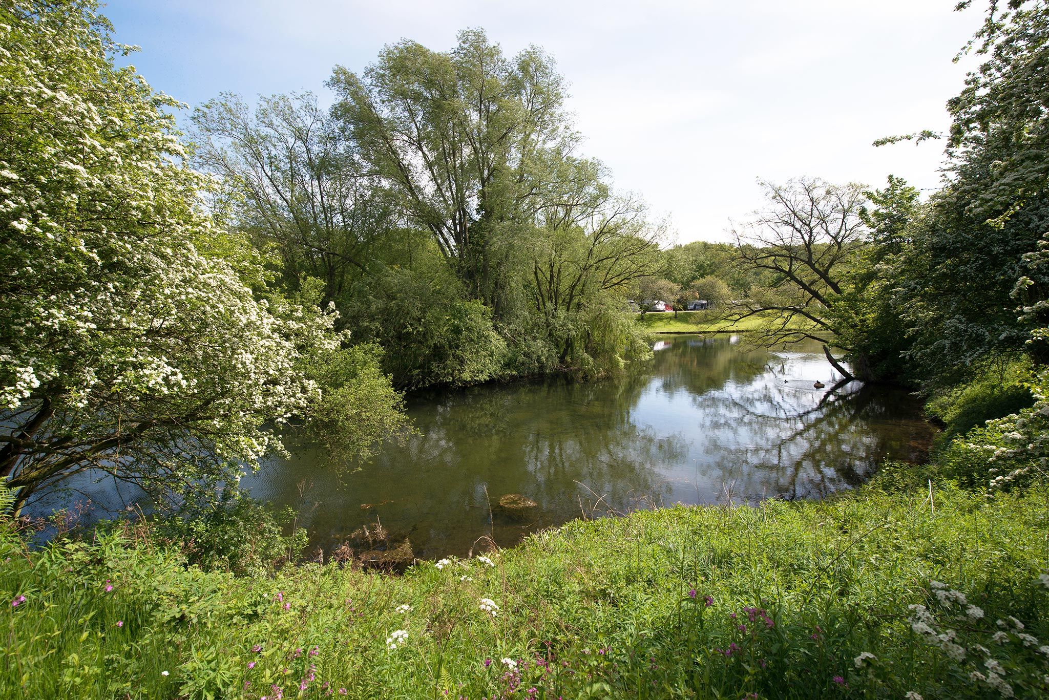 Sherwood Forest Holiday Park Photo