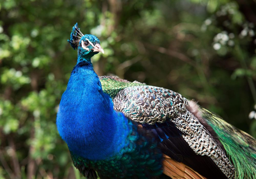 Other Campsite Facilities