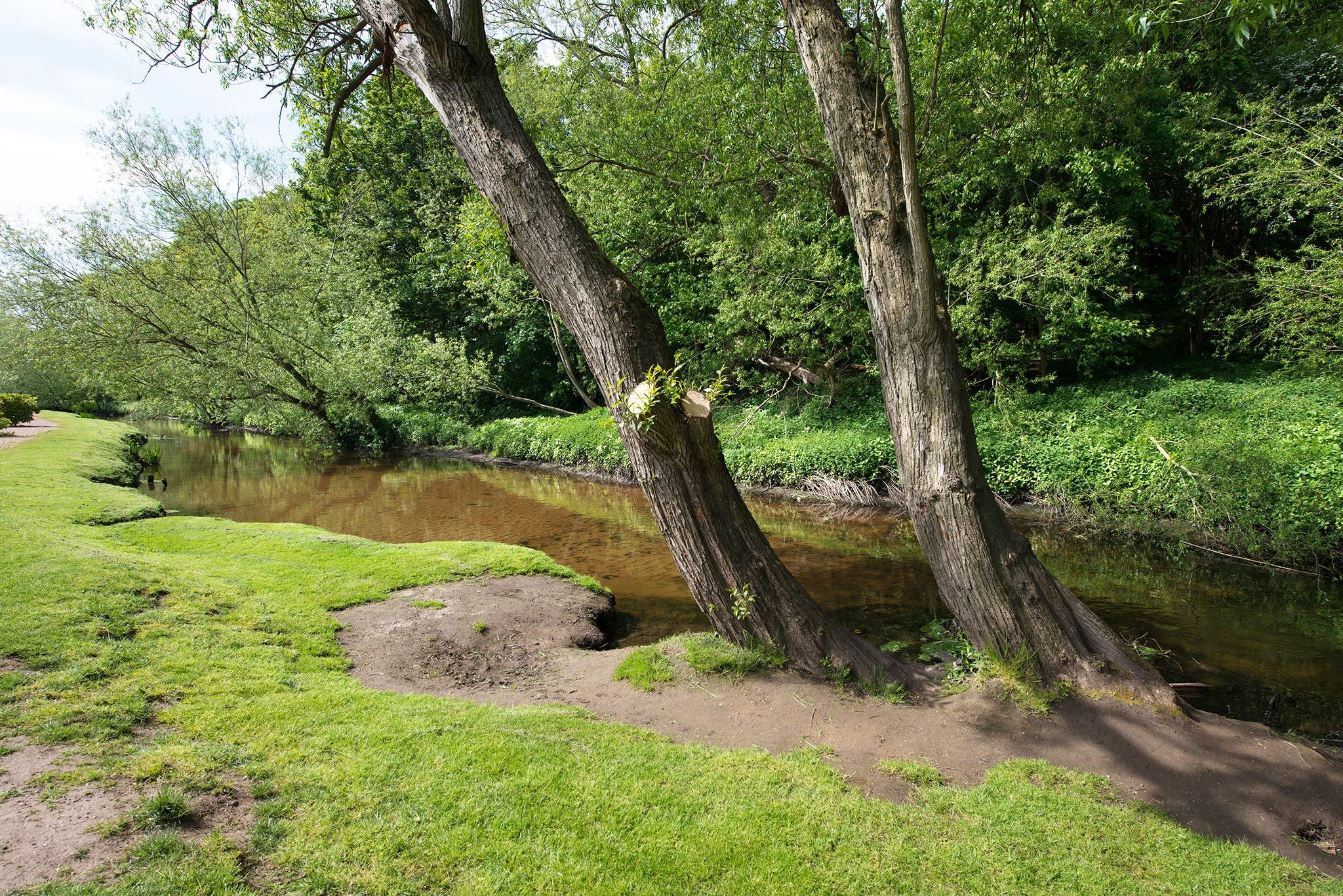 Sherwood Forest Holiday Park Photo