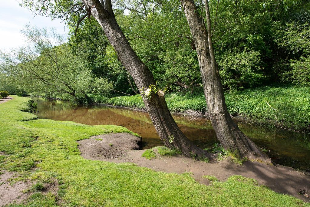 Holiday Park and Campsite Photos - Sherwood Forest Holiday Park