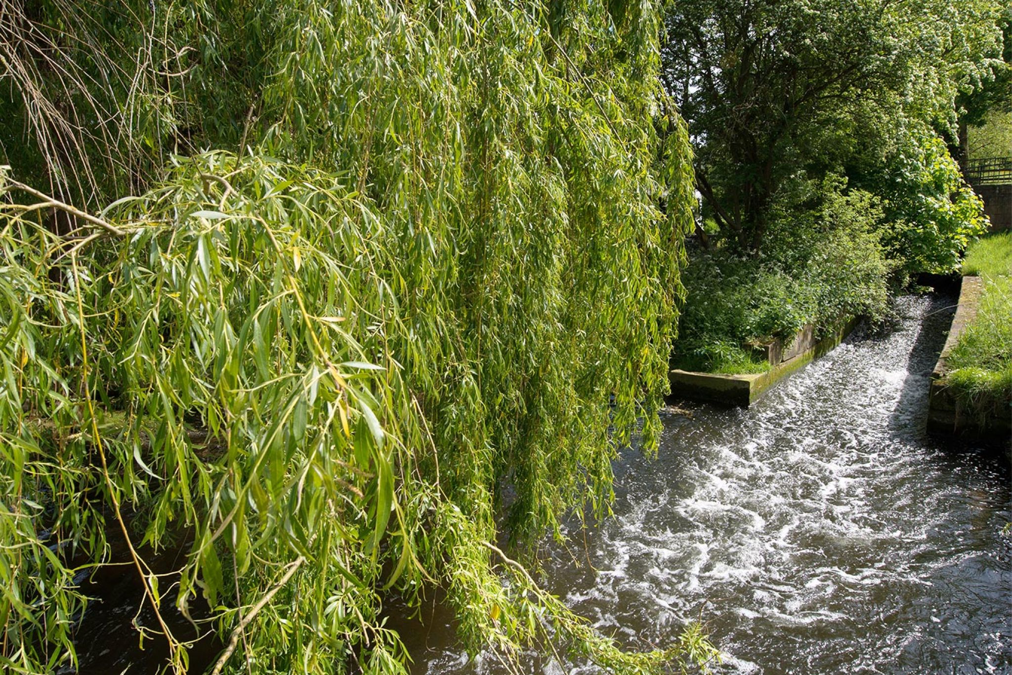 Sherwood Forest Holiday Park Photo