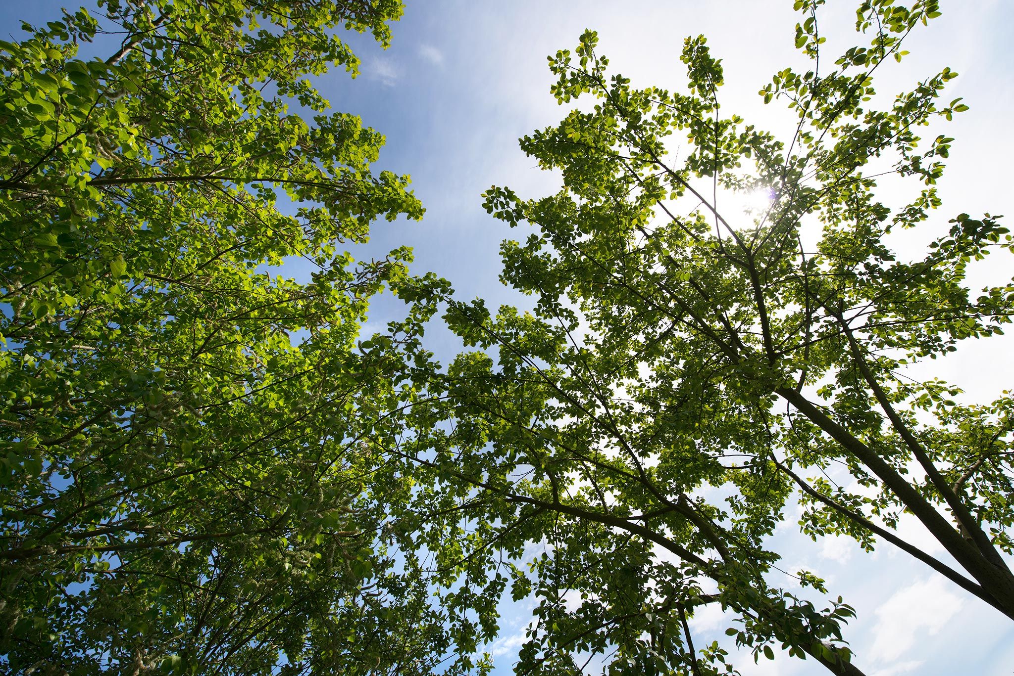 Sherwood Forest Holiday Park Photo