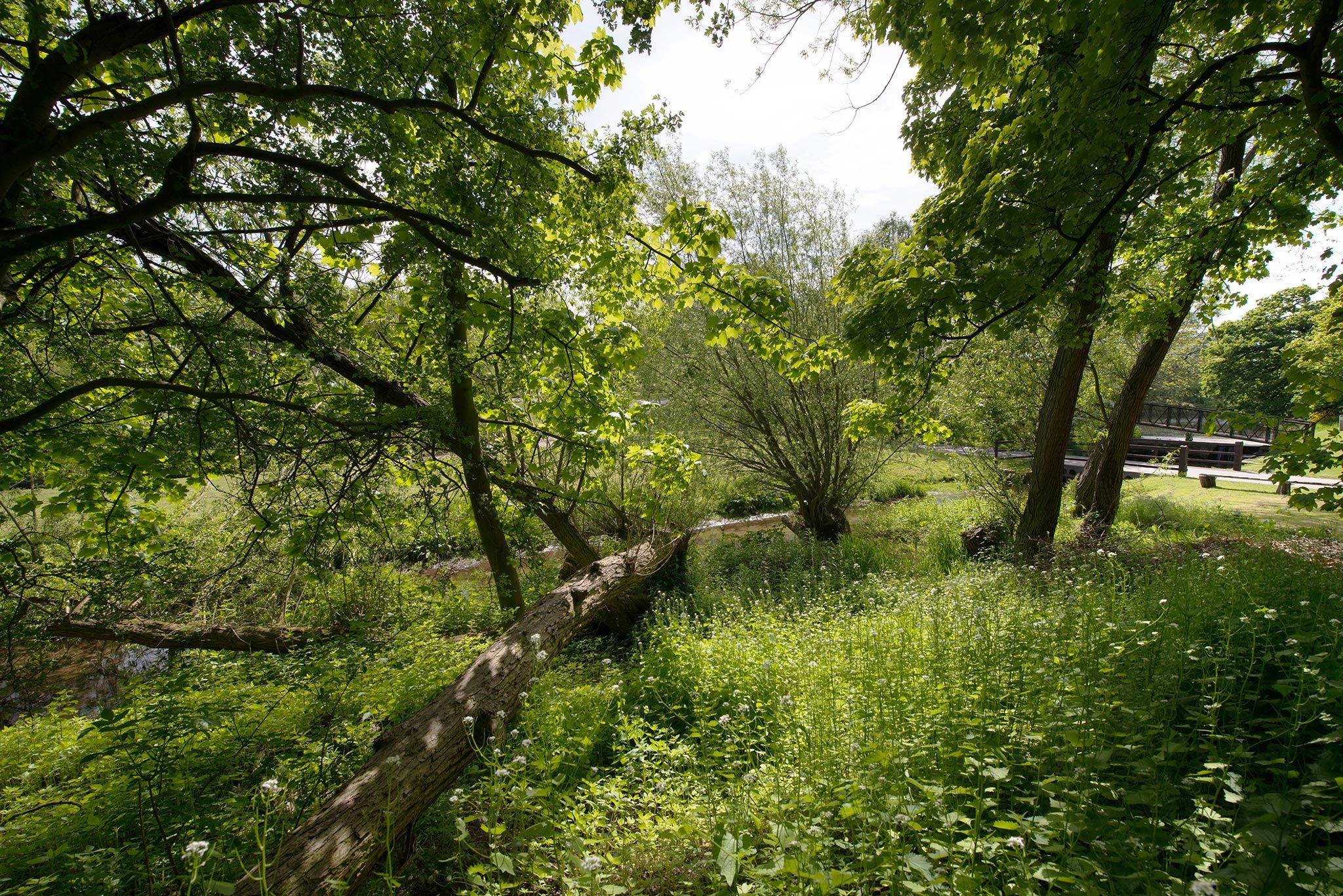Sherwood Forest Holiday Park Photo