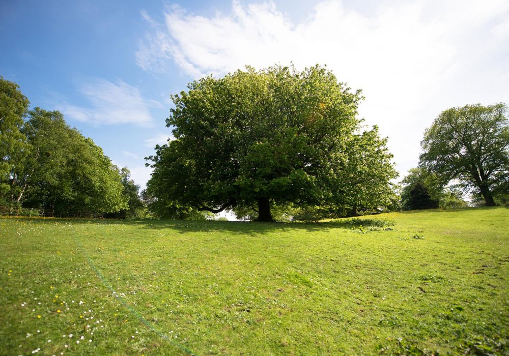 Your Touring Holiday