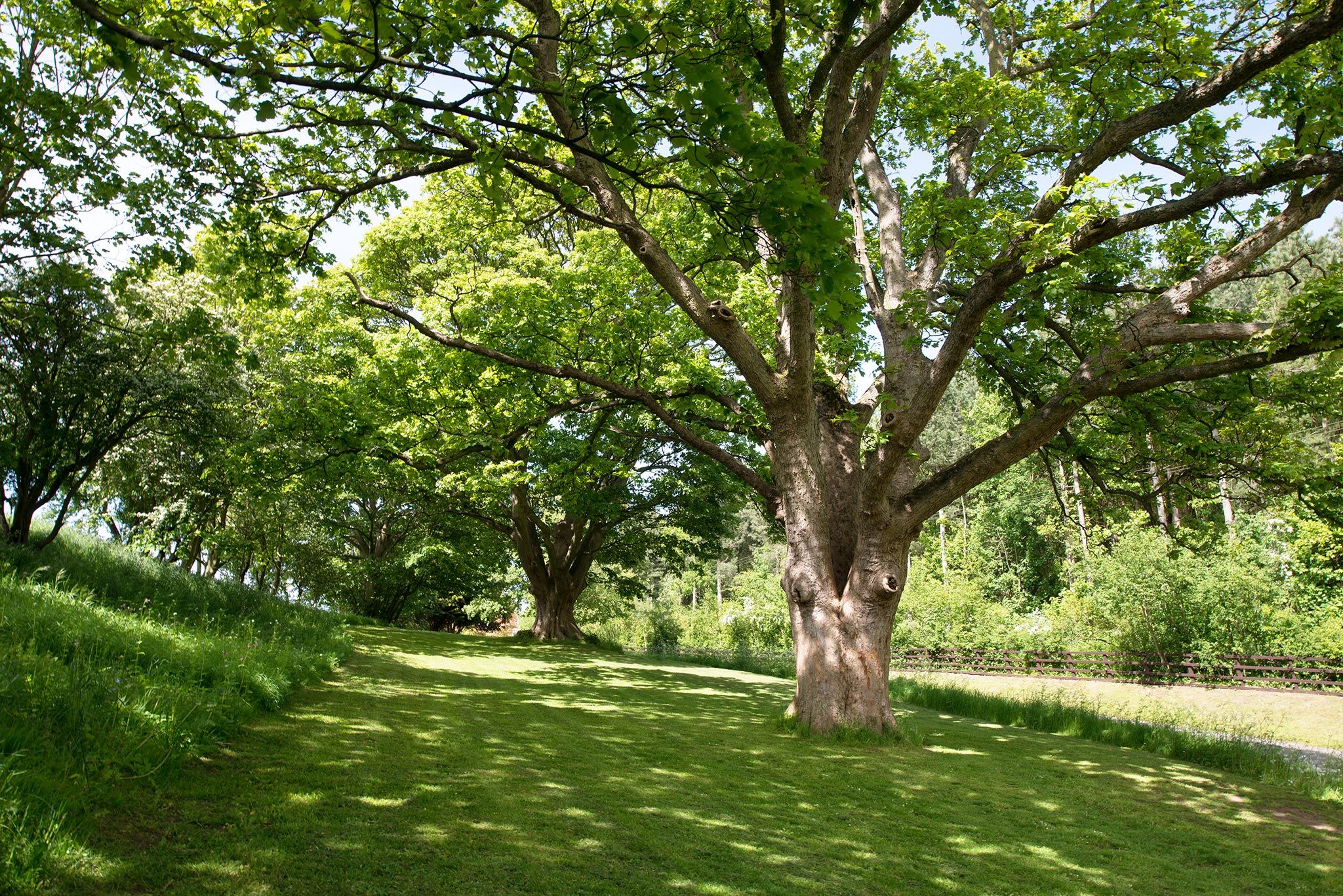 Sherwood Forest Holiday Park Photo