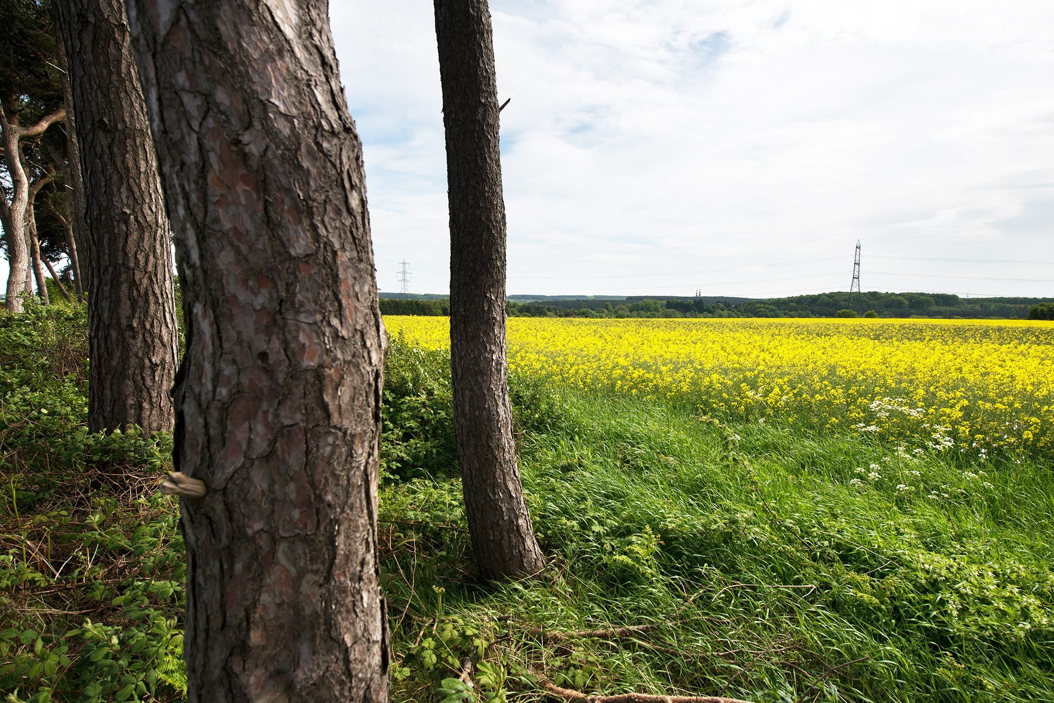 Sherwood Forest Holiday Park Photo