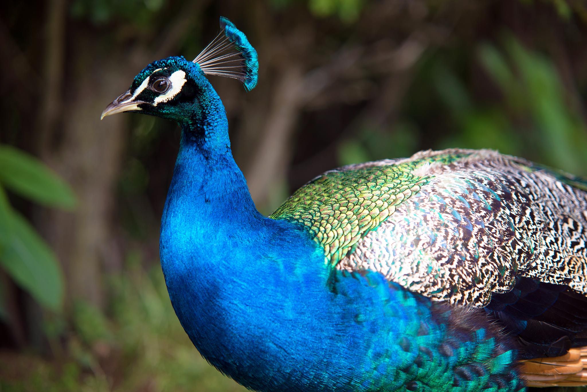 Sherwood Forest Holiday Park Photo