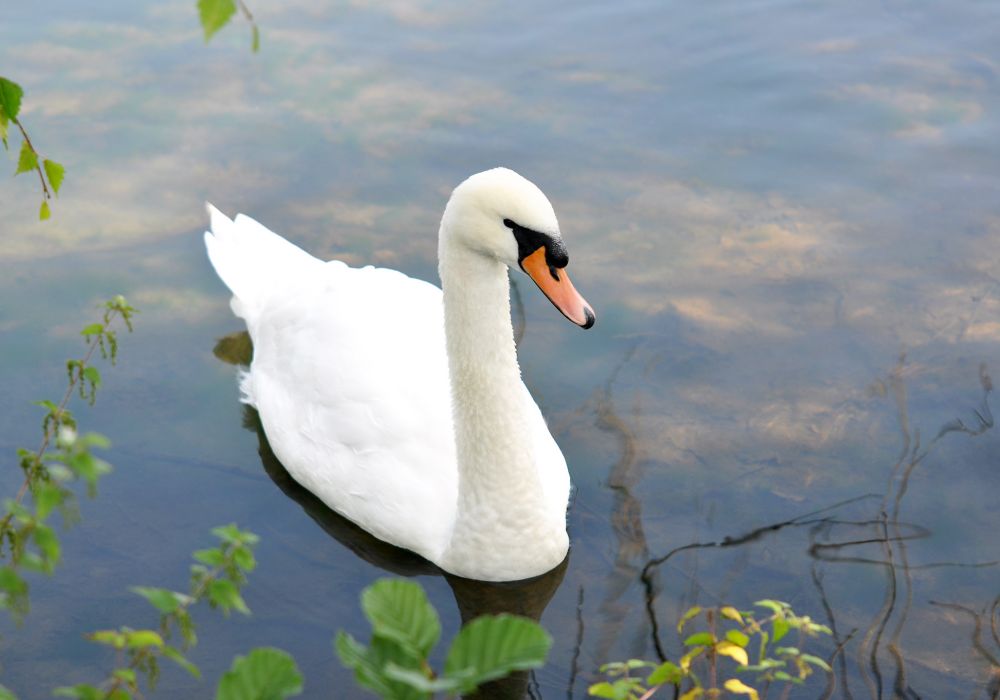 Responsible Disposal at Our Campsite