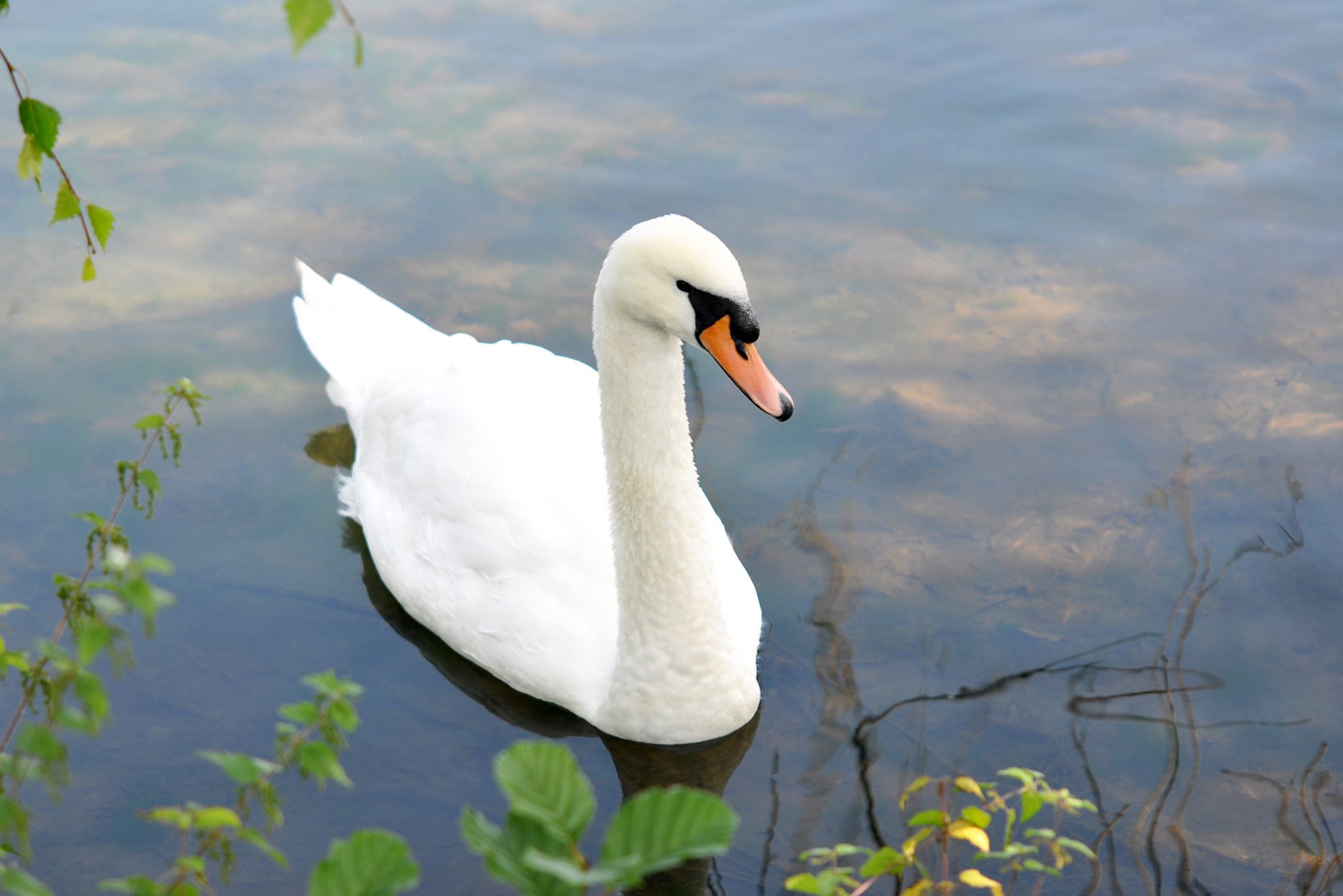 Sherwood Forest Holiday Park Photo