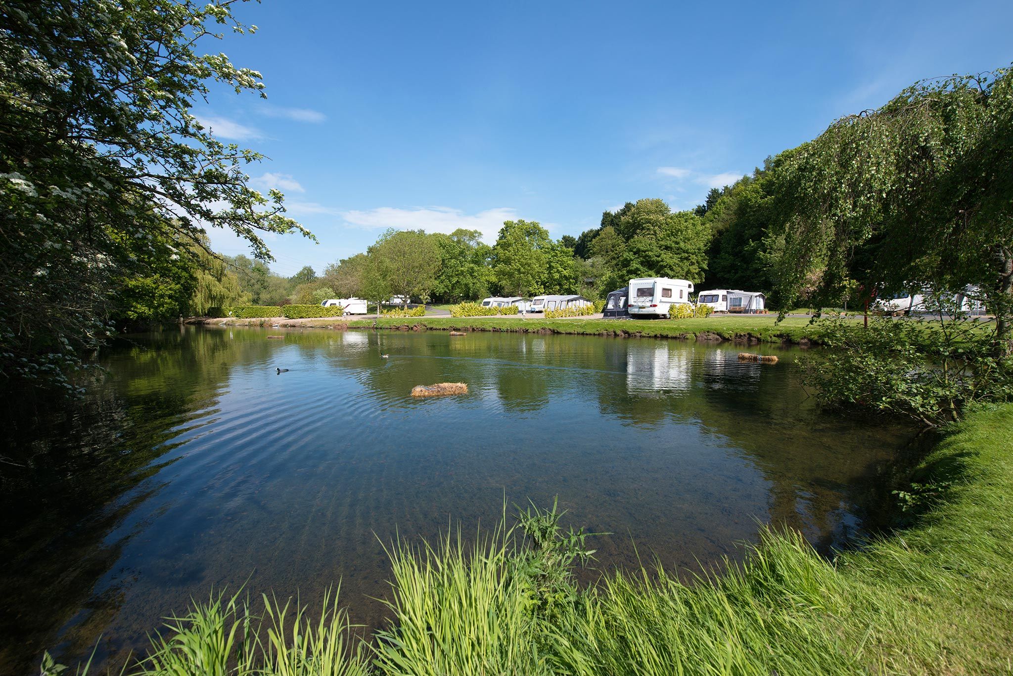 Sherwood Forest Holiday Park Photo
