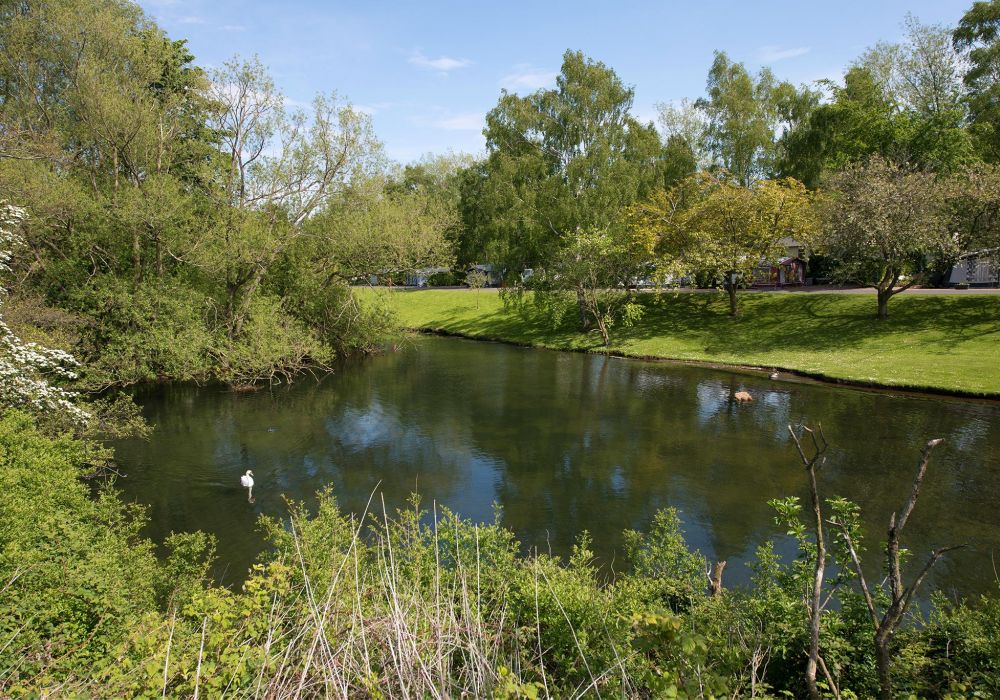 Willow Touring Campsite Pitches