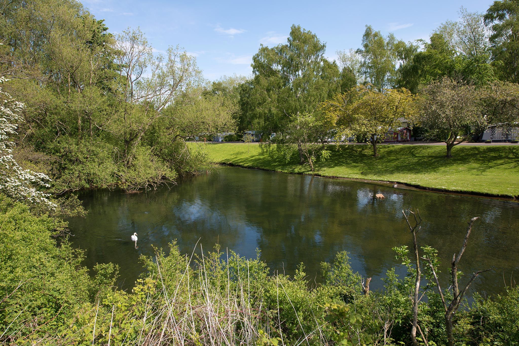 Sherwood Forest Holiday Park Photo