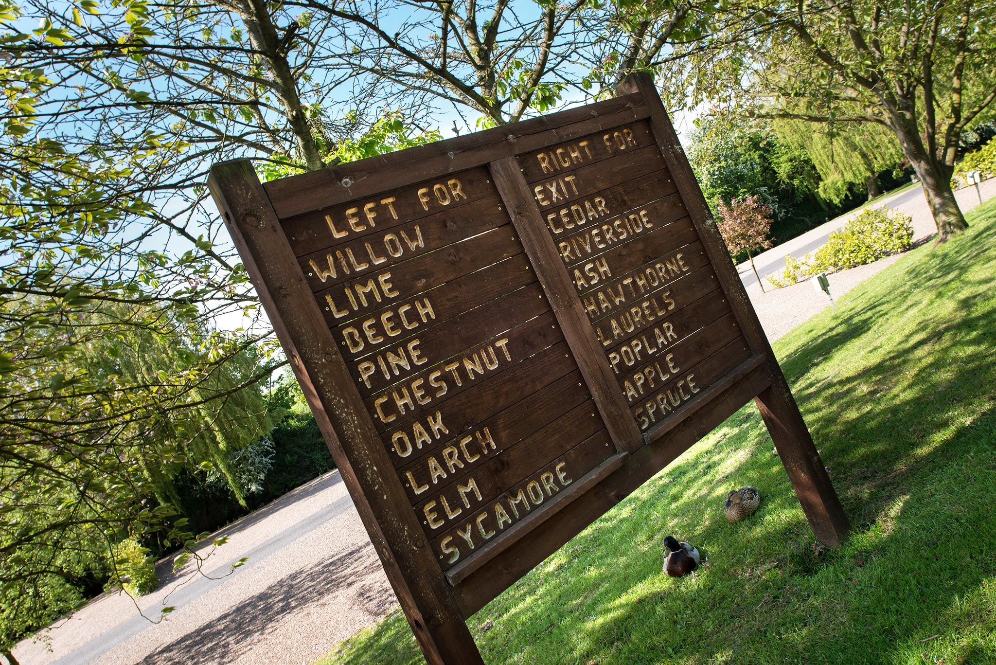 Sherwood Forest Holiday Park Photo
