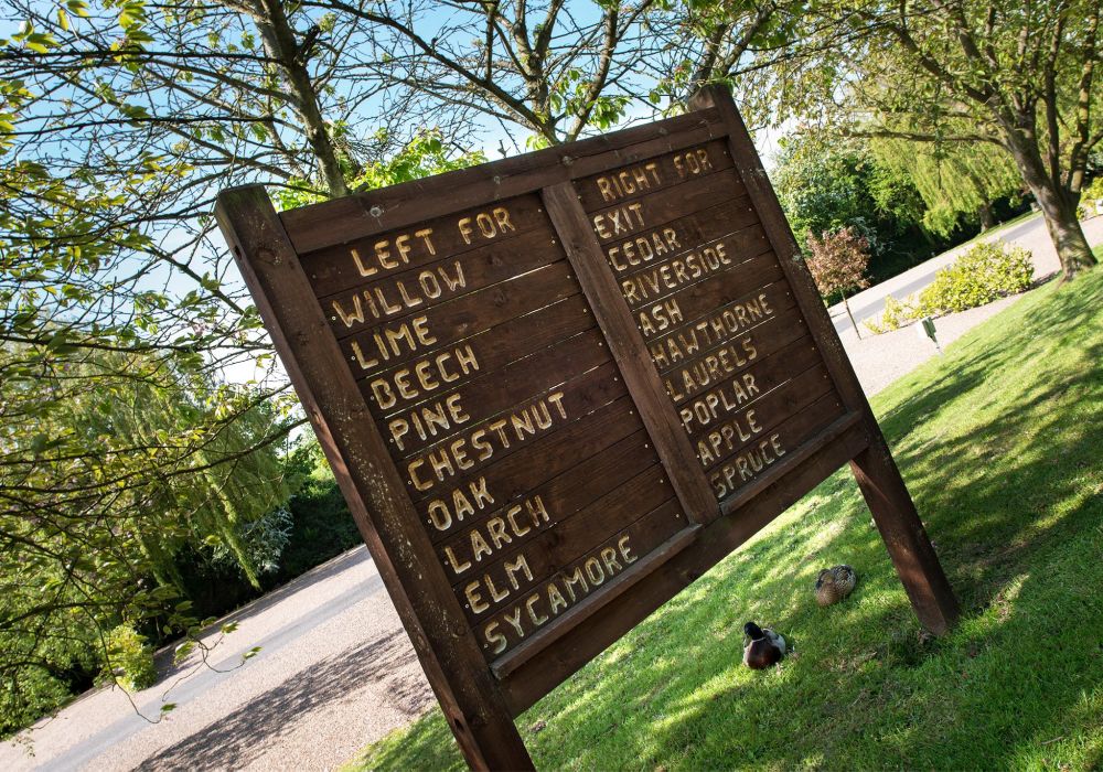 Prime Campsite Location