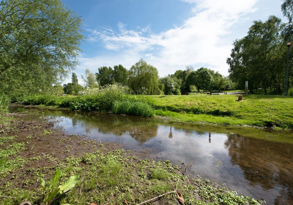 Ash Touring Campsite Pitches