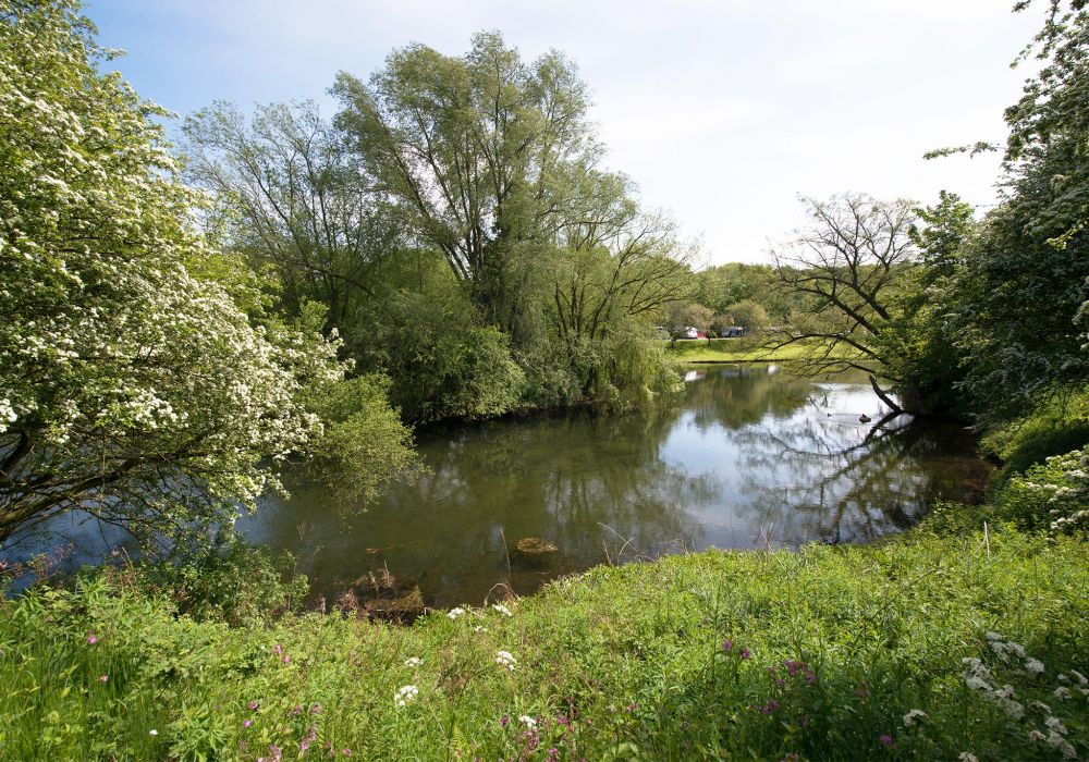Campsite with Fishing Lakes