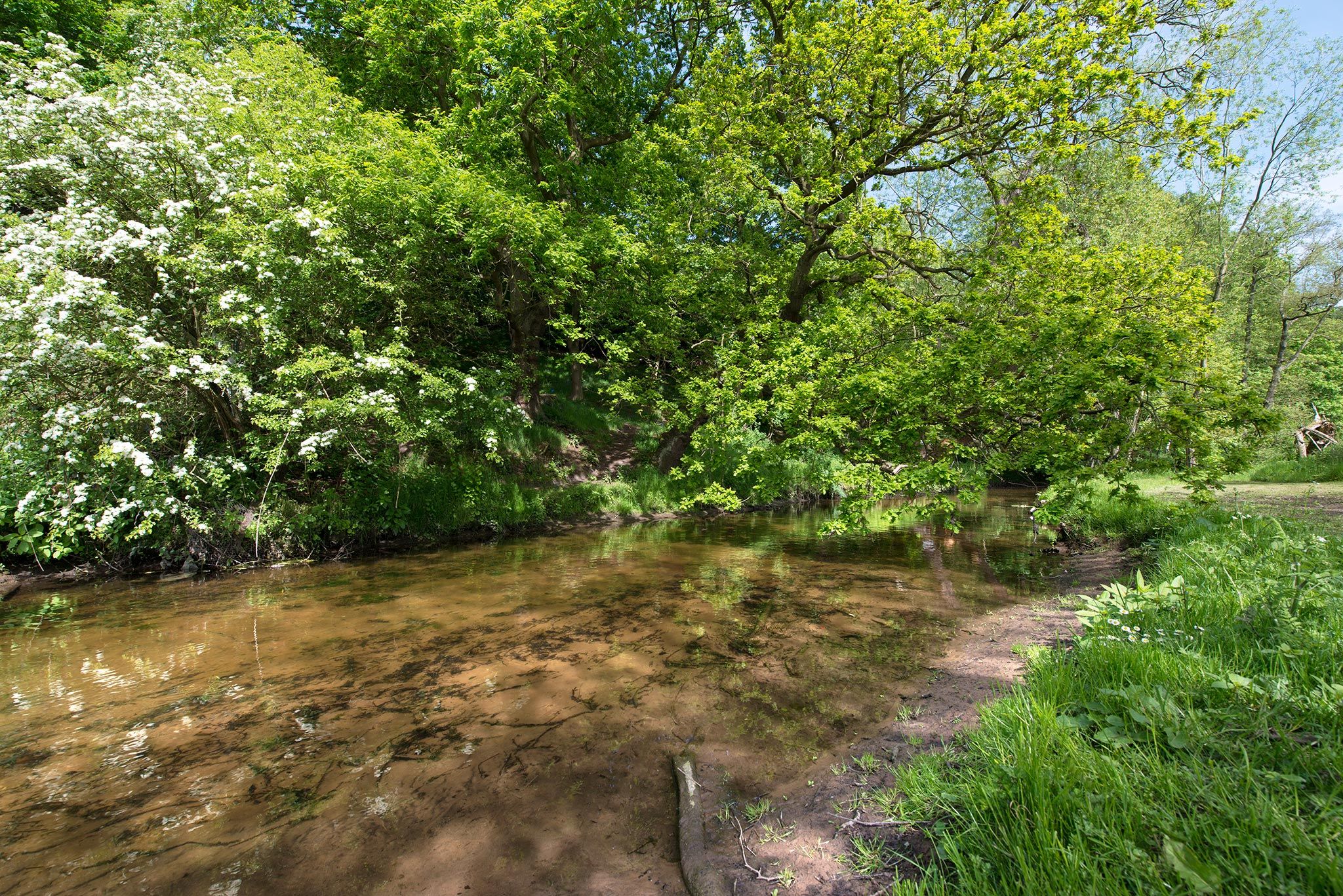 Sherwood Forest Holiday Park Photo